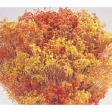 BLOOMS BROOM Autumntone- OUT OF STOCK